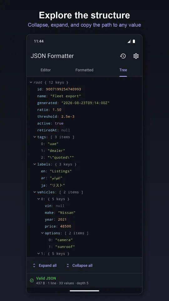 JSON Formatter screenshot 4