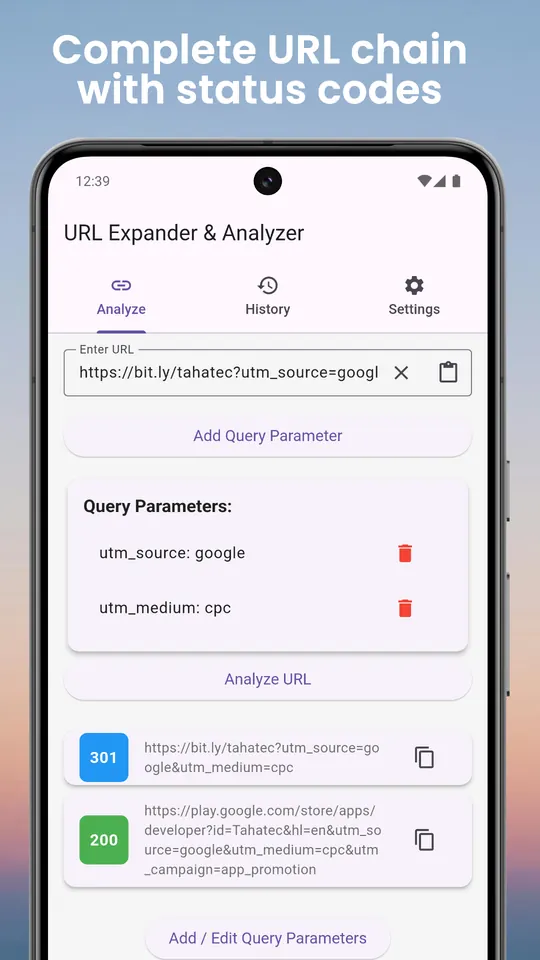 Link Analyzer screenshot 2